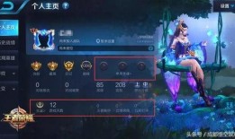 小绿茶王者爆料视频,揭秘游戏幕后真相